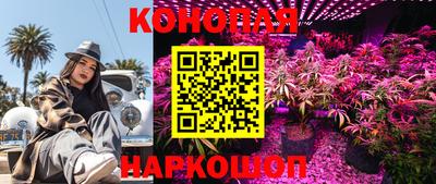 соль ск Ачхой-Мартан