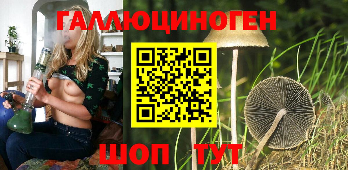 Галлюциногенные грибы Cubensis Боровичи